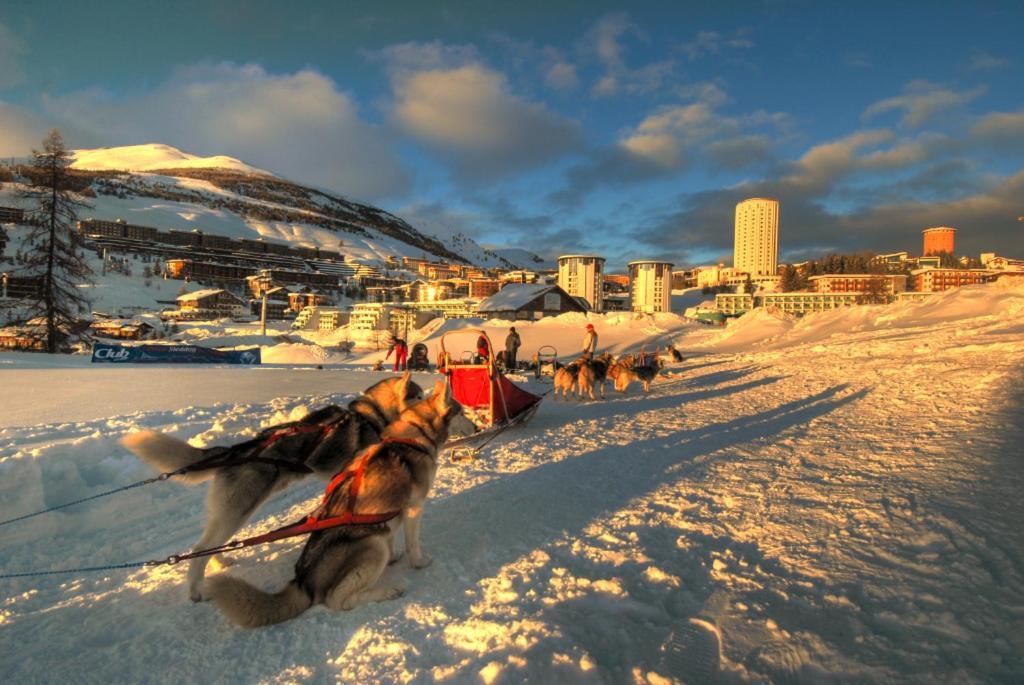 Il Fraitevino Hotel Bed & Breakfast Colle Colle Sestriere Exterior foto